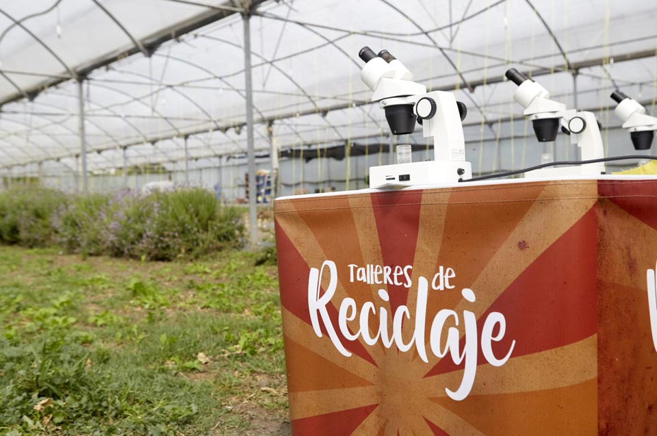 Laboratorio de primaria